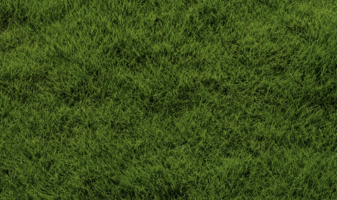 screenshot-2025-01-08-at-11-36-23-pm